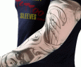 MD - Tatoo  Sleeve - Swan